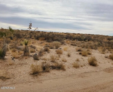 PN 163156 Norris Dr, Clint, TX 79928 - photo 2