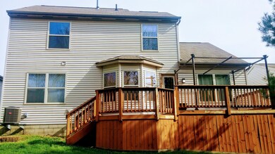 Back Deck