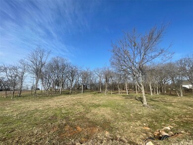 West facing view of some of the cleared lot