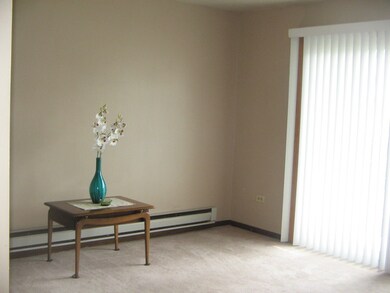 7344 W 85th Place unit 1B, Bridgeview, IL 60455 - photo 4