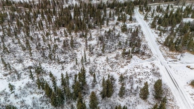 32603 Rickard St, Anchor Point, AK 99556 - photo 7