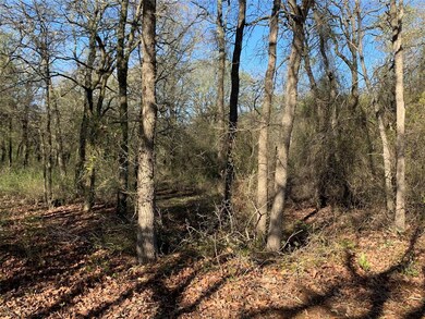 24026 Wood Hollow Dr, Whitney, TX 76692 - photo 2