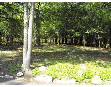 Yard/Garden.