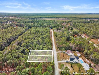 482 & 490 Wood Haven Rd, Boiling Spring Lakes, NC 28461 - photo 5