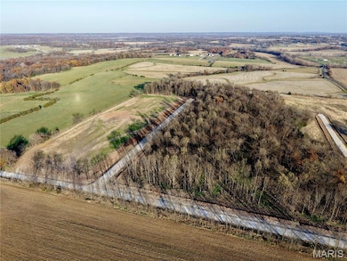 Aerial overview of property's location featuring rural landscape and rows of crops