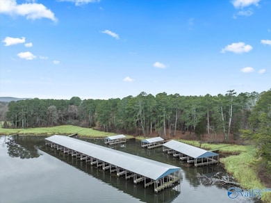 425 John Cabaniss Rd, Langston, AL 35755 - photo 2