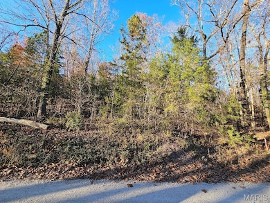 Lot 5 Blk 1 Carter 133, van Buren, MO 63965 - photo 4