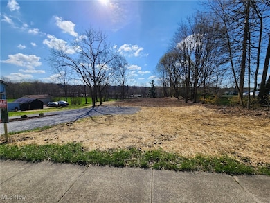 0 Northeast Ave unit 5114314, Tallmadge, OH 44278 - photo 5