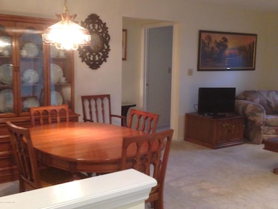 1309 Village Dr unit 1309, Stroudsburg, PA 18360 - photo 7