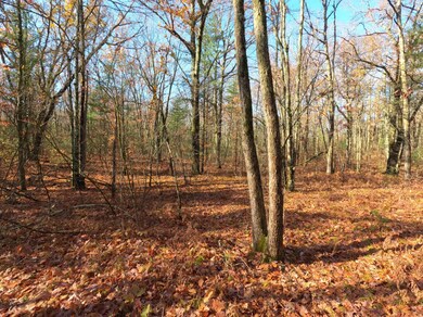 V/L Woodland Park Lots 5 To 9, Bitely, MI 49309 - photo 3