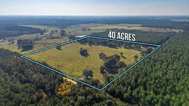 1-web-or-mls-Wallace Rd Aerial-1