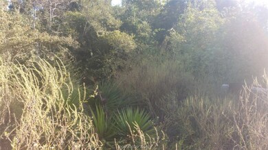 8414 Mayhaw Ln, Plantersville, TX 77363 - photo 7