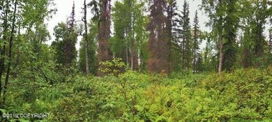 IMG_0202