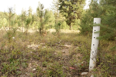 27603 Issac Creek Rd, Huson, MT 59846 - photo 2