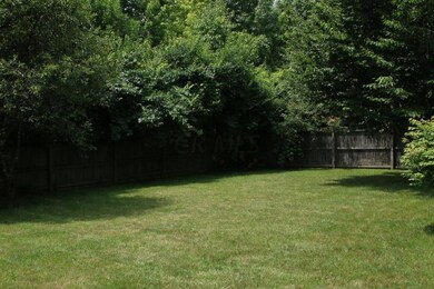 backyard4