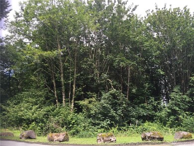 15015 229th Ave E, Orting, WA 98360 - photo 5