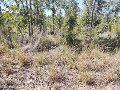 IMG_20210717_170346654