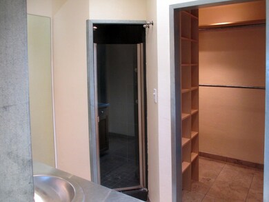 Master Bath and Closet IMG_4242