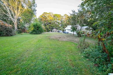 1138 Winward Ln, Vestavia Hills, AL 35216 - photo 3