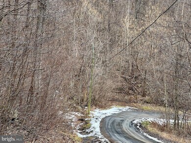 0 Mosby Spring Rd unit VAWR2002290, Linden, VA 22642 - photo 2