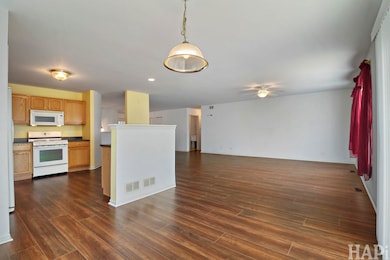 10967 Braemar Pkwy, Huntley, IL 60142 - photo 6