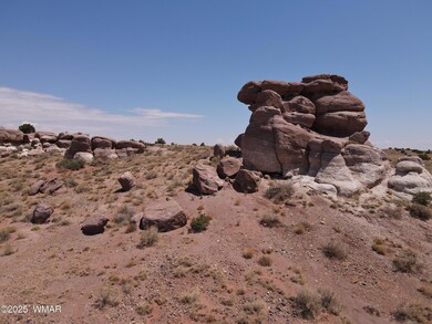 9312 Woodruff Hay Hollow Rd, Snowflake, AZ 85937 - photo 6