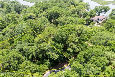mls-DJI_0041