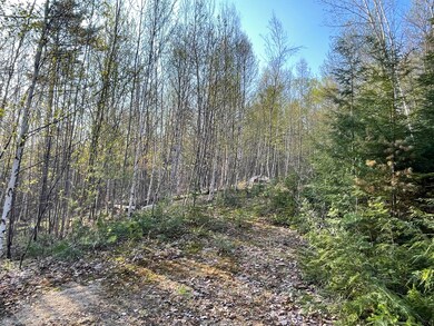 U04-003 Verril Rd, Hanover, ME 04237 - photo 4