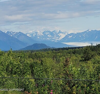 IMG_0550