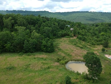 DJI_0188 (1)