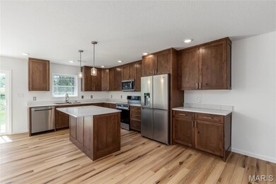 245 Hawkins Ave, Crocker, MO 65452 - photo 4