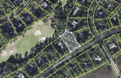 google earth pic 3011 Seabrook Island Rd