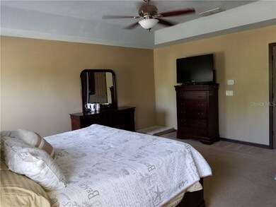 9701 Simeon Dr, Land O Lakes, FL 34638 - photo 5