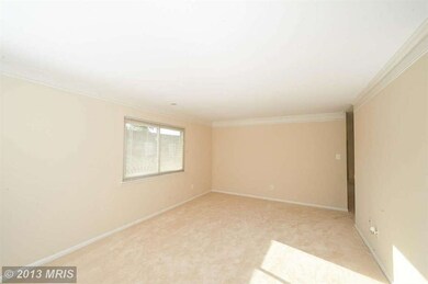 3890 Manzanita Place unit E, Alexandria, VA 22309 - photo 4