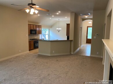 24055 Waterhole Ln, San Antonio, TX 78261 - photo 4