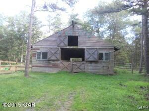 668 Behrens Rd, Jim Thorpe, PA 18229 - photo 3