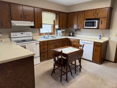 209 S Badger St, Wishek, ND 58495 - photo 5