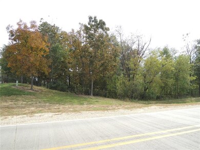 FUTURE ACCESS DRIVE BETWEEN TWO TREES