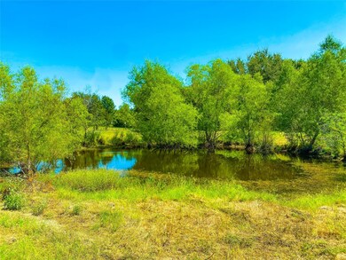 TBD Fm 2555, Corsicana, TX 75110 - photo 3