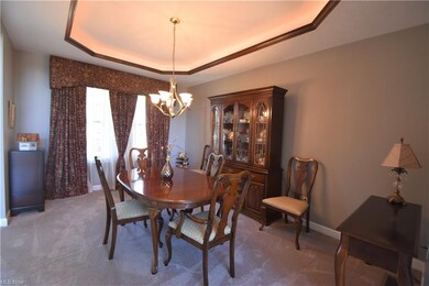 425 U s Grant St, Lagrange, OH 44050 - photo 7