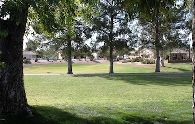 Backyard view2