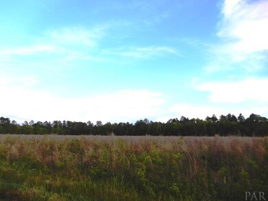 1400 Blk E Sunset Dr, Atmore, AL 36502 - photo 3