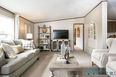 918 Butternut St, Carlsbad, NM 88220 - photo 4