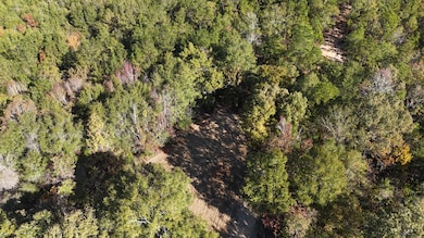 Raymond Loop, Dozier, AL 36028 - photo 2