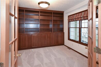 Den With New Carpet And Custom Built-In.