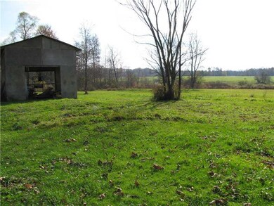 Yard/Garden.