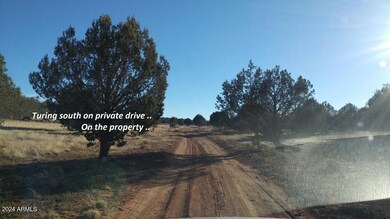 20161208-153814-resized_orig