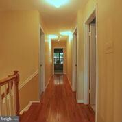13225 Shady Ridge Ln, Fairfax, VA 22033 - photo 4