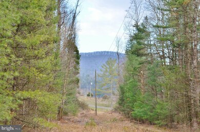 0 Dellinger Acres Rd, Edinburg, VA 22824 - photo 3