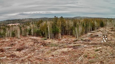 L1 Lively Brook Acres, Whiting, ME 04691 - photo 2